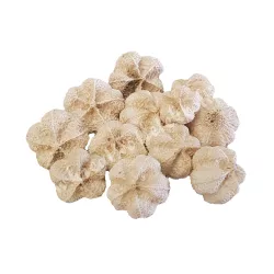   Szárazdekoráció, fokhagymatermés, natúr, kb. 30 gr/csomag