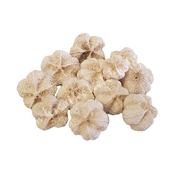 Szárazdekoráció, fokhagymatermés, natúr, kb. 30 gr/csomag