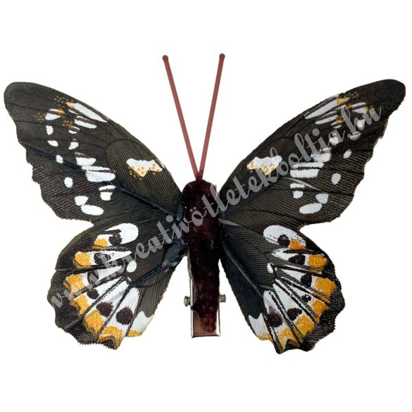 Csipeszes pillangó, sötétbarna, 7,5x6,5 cm