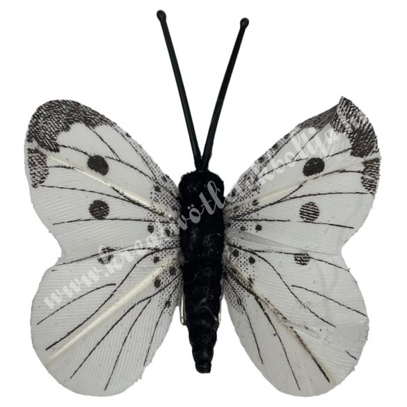 Csipeszes pillangó, fehér-fekete, 4,8x5,3 cm