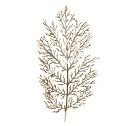 Csillámos tuja ág, arany, 40 cm