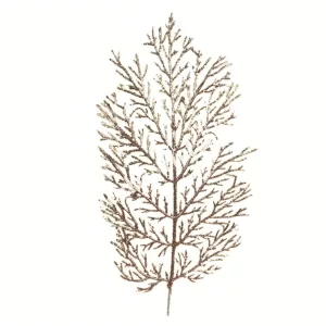 Csillámos tuja ág, arany, 40 cm