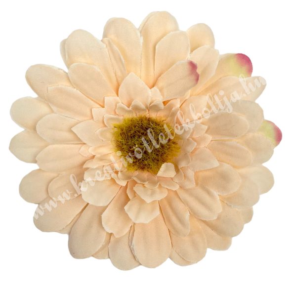 Gerbera virágfej, világos barack, 8 cm