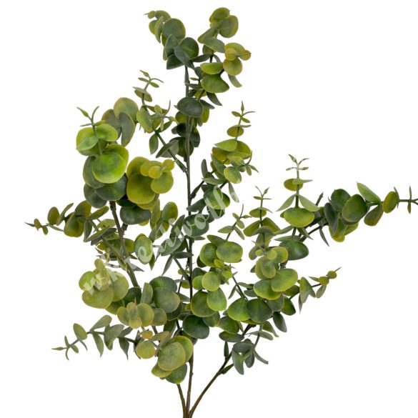 Eukaliptusz csokor, sárgás zöld, 66 cm