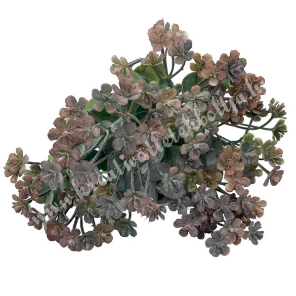 Eukaliptusz csokor apró virágokkal, barna, 36 cm