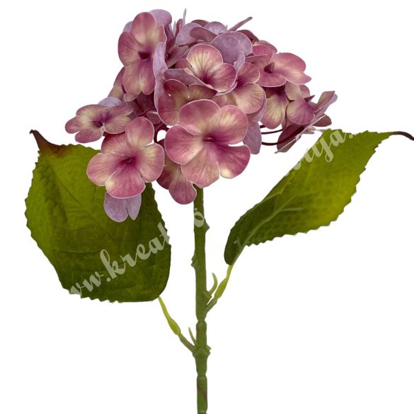 Gumi hortenzia szál, cirmos mályva, 40 cm