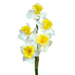 Gumi nárcisz csokor, fehér-sárga, 50 cm