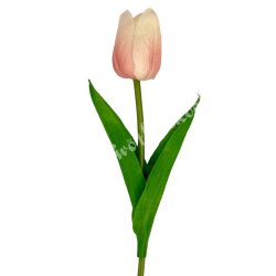 Gumi tulipán, cirmos barack, 33 cm