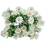 Százszorszép köteg, fehér, 25 cm