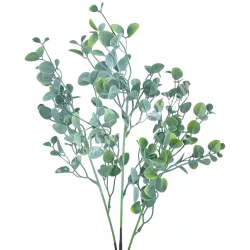Pénzvirág csokor, hamvas zöld, 55 cm