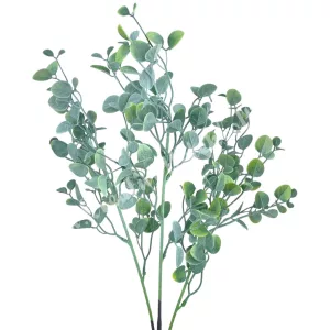 Pénzvirág csokor, hamvas zöld, 55 cm
