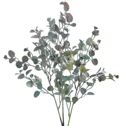 Pénzvirág csokor, zöld-barna, 55 cm