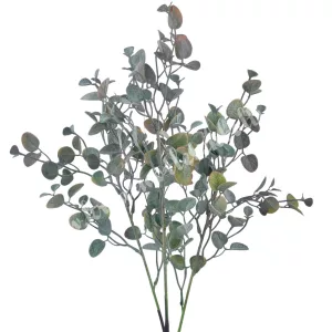 Pénzvirág csokor, zöld-barna, 55 cm