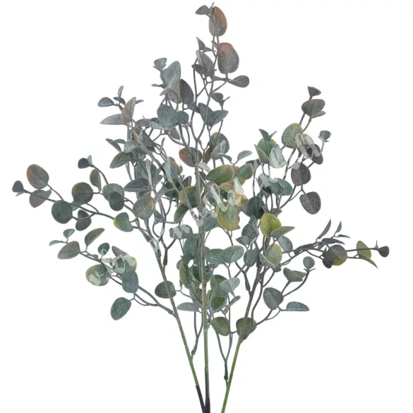 Pénzvirág csokor, zöld-barna, 55 cm