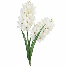 Szálas jácint, fehér, 38 cm