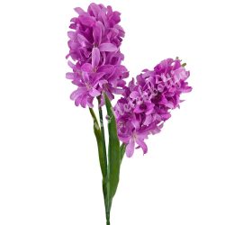 Szálas jácint, pink, 38 cm