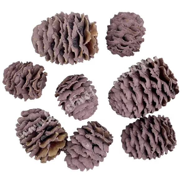 Szárazdekoráció, meridianum, mályva, 30 g/csomag