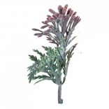 Pozsgás ágak, bordó, 4x7,5 cm, 9 db/csomag