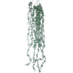 Futó eukaliptusz, zöld, 76 cm