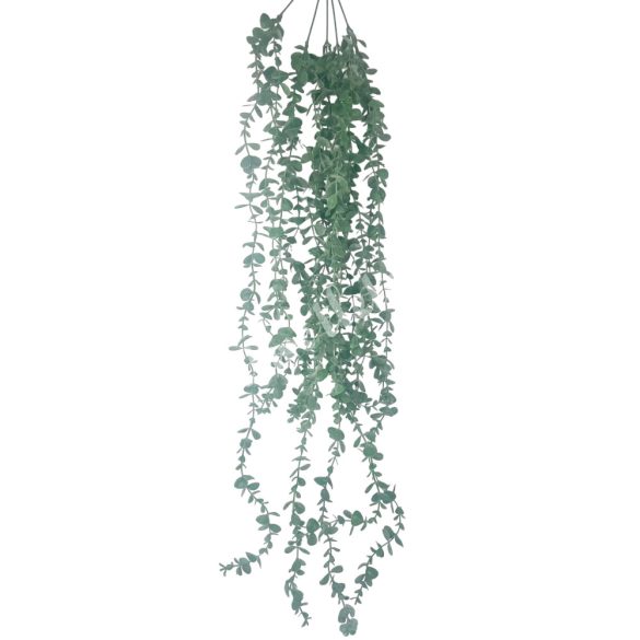 Futó eukaliptusz, zöld, 76 cm