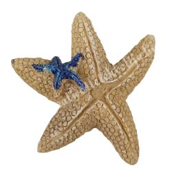Tengeri csillag, homok, 5,3x5 cm