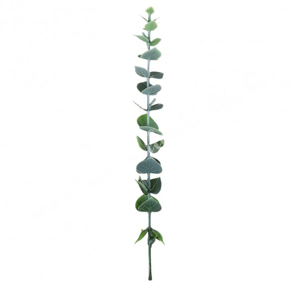 Eukaliptusz ág, hamvas zöld, 32 cm