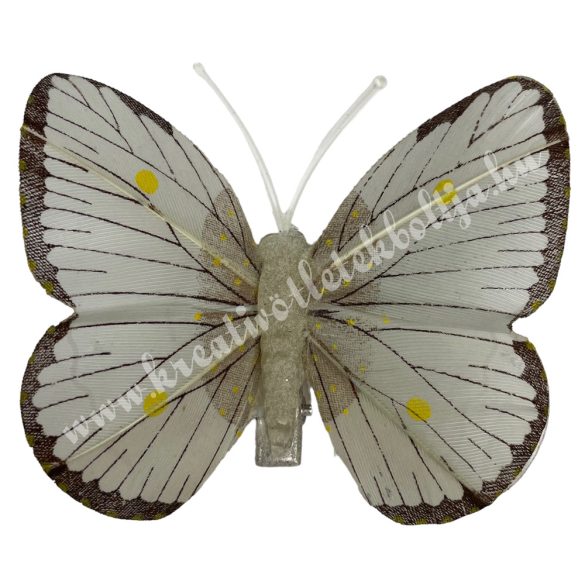 Csipeszes pillangó, szürke-barna, 7,5x6,5 cm