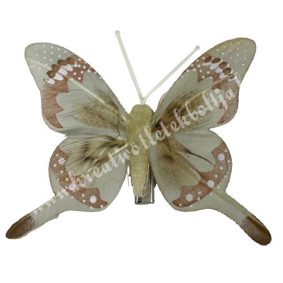Csipeszes pillangó, szürke-barna, 8x7 cm