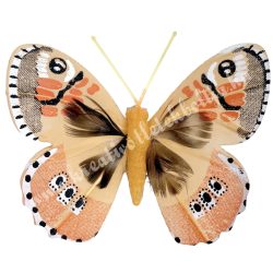 Csipeszes pillangó, narancs, 7,5x6,5 cm