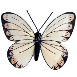 Csipeszes pillangó, narancs, 7,5x6 cm