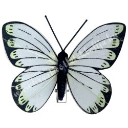 Csipeszes pillangó, zöld, 7,5x6 cm