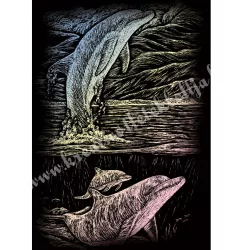   Karckép gravírozó készlet karctűvel, delfin, holográf, 20x25 cm