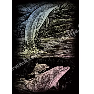 Karckép gravírozó készlet karctűvel, delfin, holográf, 20x25 cm