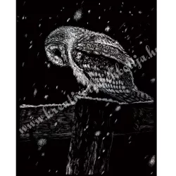   Karckép gravírozó készlet karctűvel, bagoly, ezüst, 20x25 cm