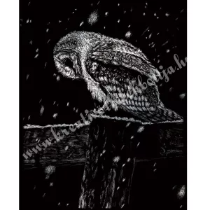 Karckép gravírozó készlet karctűvel, bagoly, ezüst, 20x25 cm