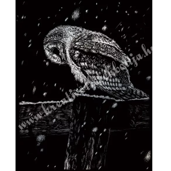 Karckép gravírozó készlet karctűvel, bagoly, ezüst, 20x25 cm