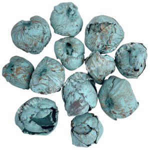 Szárazdekoráció, kókusz mini, türkiz, kb. 40 gr/csomag