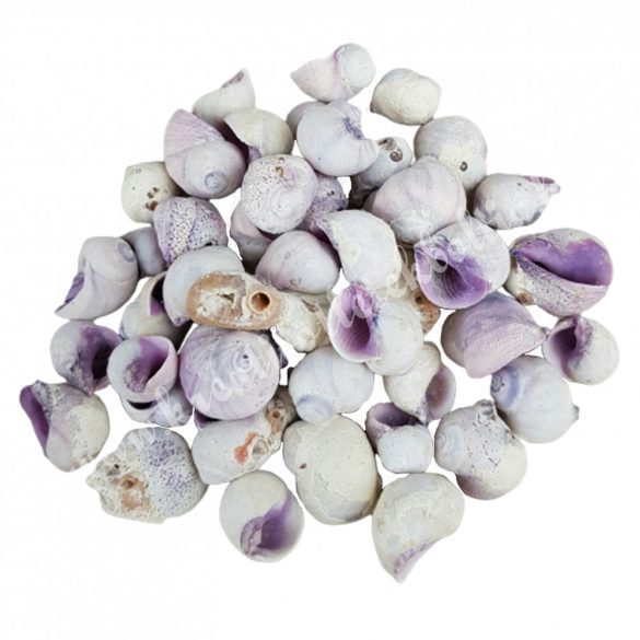Korall kagyló, 150 gr/csomag