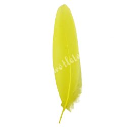 Madártoll, citromsárga, 11-16 cm