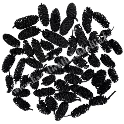 Szárazdekoráció, birch pine, fekete, kb. 30 gr/csomag