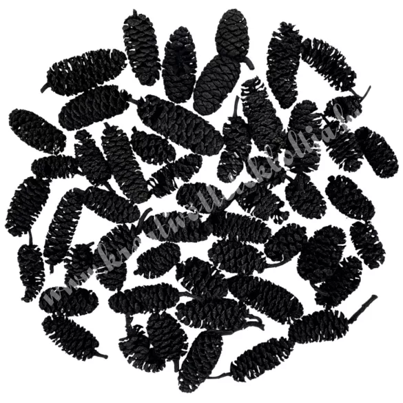 Szárazdekoráció, birch pine, fekete, kb. 30 gr/csomag
