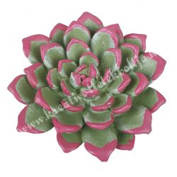Polyresin pozsgás, zöld-rózsaszín, 8x2,5 cm