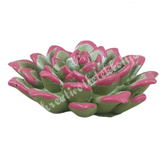 Polyresin pozsgás, zöld-rózsaszín, 8x2,5 cm