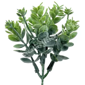 Kövirózsa ág, zöld, 24 cm