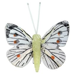 Csipeszes pillangó, fehér-barack, 4,7x5 cm