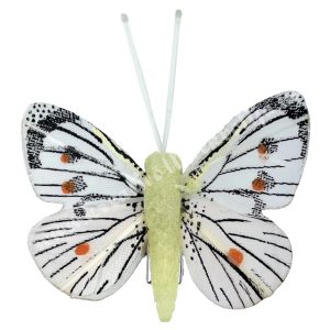 Csipeszes pillangó, fehér-barack, 4,7x5 cm