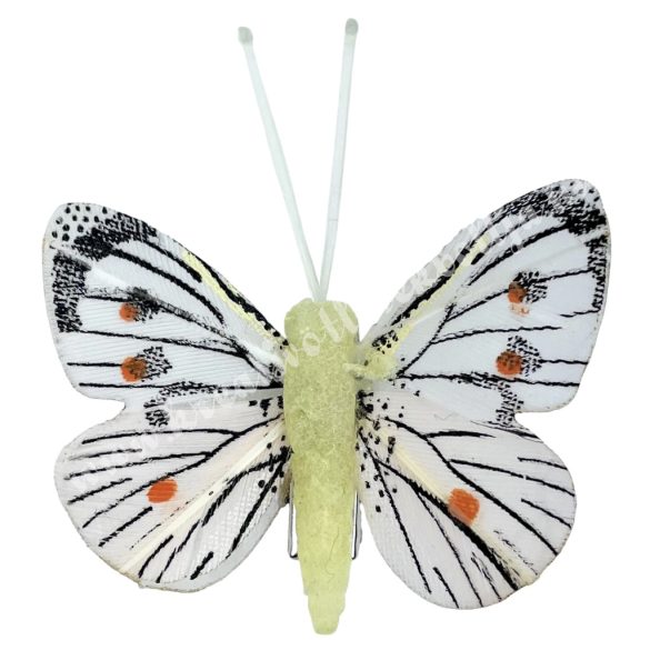 Csipeszes pillangó, fehér-barack, 4,7x5 cm