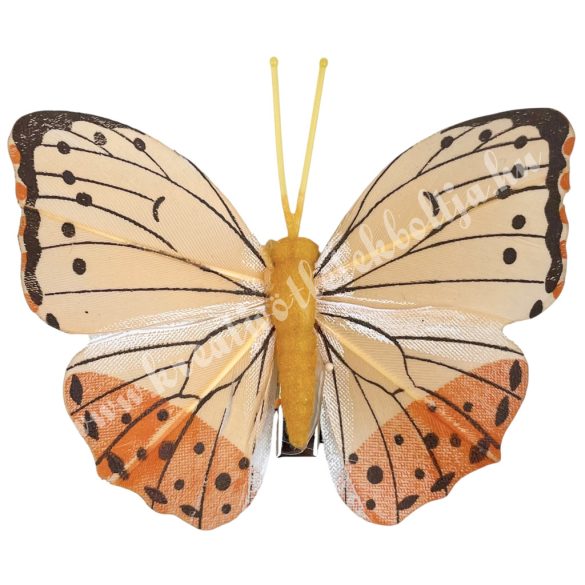 Csipeszes pillangó, barack-narancs, 8x6,5 cm