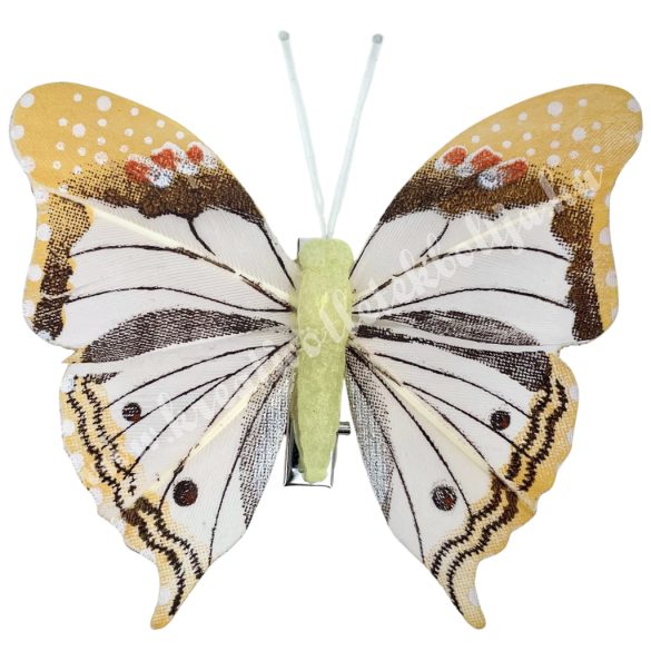 Csipeszes pillangó, fehér-barack, 8x7,5 cm