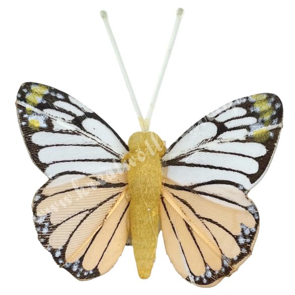 Csipeszes pillangó, fehér-barack, 4,7x5 cm